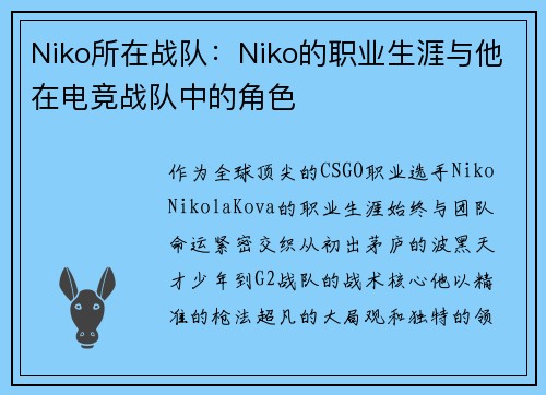 Niko所在战队：Niko的职业生涯与他在电竞战队中的角色