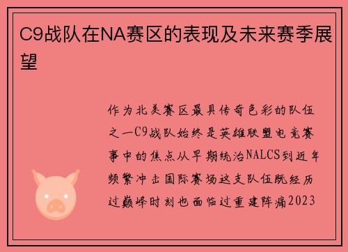 C9战队在NA赛区的表现及未来赛季展望