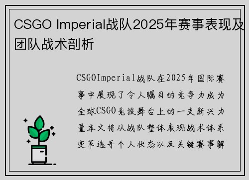 CSGO Imperial战队2025年赛事表现及团队战术剖析